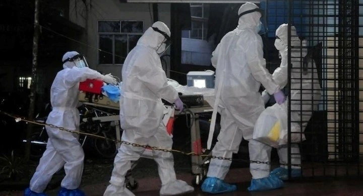 Bộ Y tế ra văn bản hỏa tốc trước nguy cơ virus Nipah xâm nhập Việt Nam 1